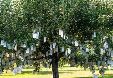 A tree outdoors with numerous handwritten notes hanging from its branches, swaying gently in the breeze